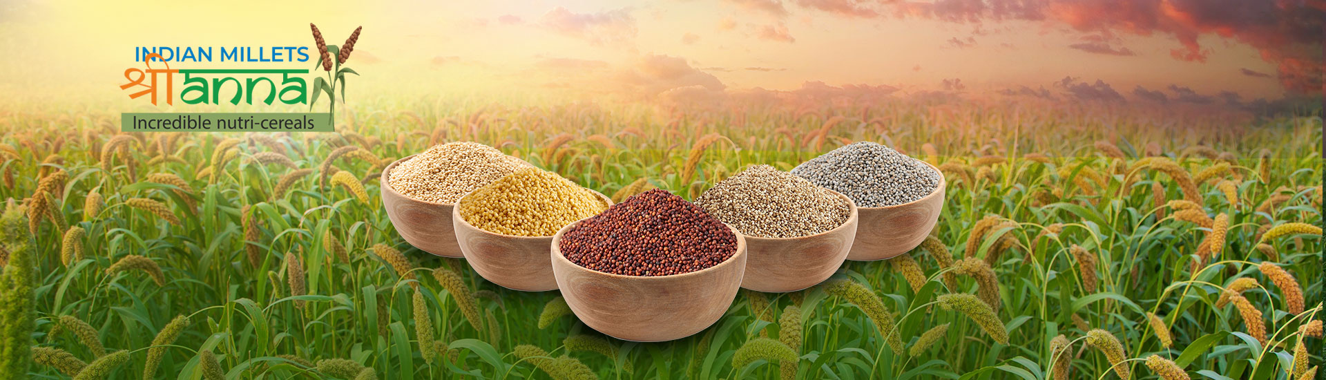 millets-banner.jpg