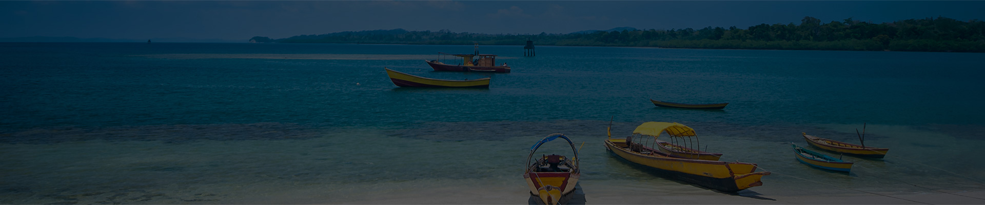 Andaman and Nicobar