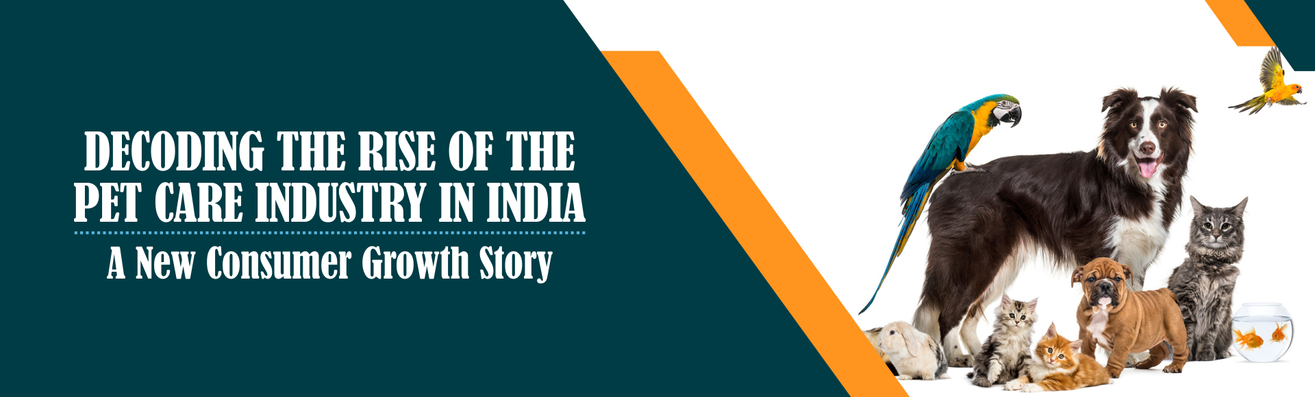 Decoding the Rise of the Pet Care Industry in India: A New Consumer Growth Story