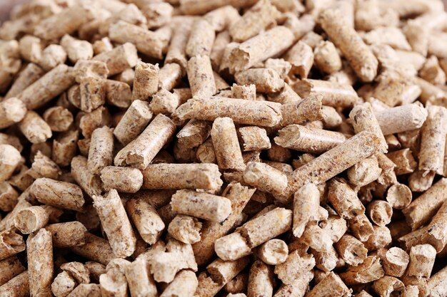 India's Booming Biomass Energy Industry: A Powerful Catalyst for Sustainable Energy Growth