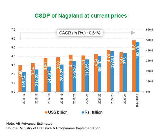 Economic Snapshot: Nagaland